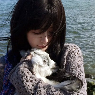 洛基第五集：龙吟虎啸 海报
